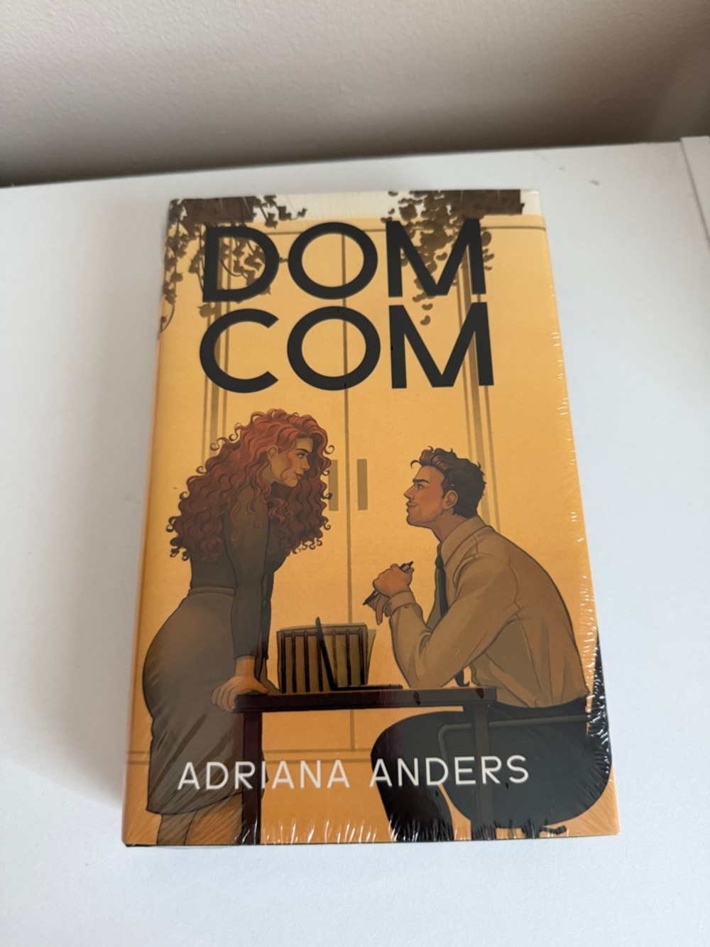 BRAND NEW AFTERLIGHT ILLUMICRATE DOM COM BY ADRIANA ANDERS BOOK